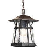 PROG P5579-84 1-100W MED  HANGING LANTERN