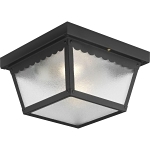 PROG P5729-31 2-60W MED  CTC CAR PORT