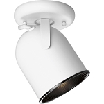 PROG P6144-30 ADJ WALL/C LG 75W PAR-30