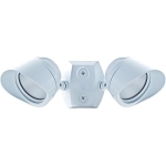 RAB BULLET2X12NW  BULLET  FLOOD KIT 2 X 12W LED NEUTRAL 120V W/ CU4 & HOO