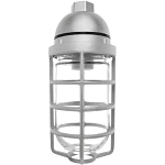 RAB VP100DG  VAPORPROOF  100 PENDANT 1/2-IN WITH GLASS GLOBE CAST GUARD