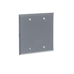 R-DOT 2CCB TWO GANG BLANK CVR