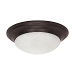 SATCO 60-280 1 LIGHT 12-IN. FLUSH MOUNT TWIST