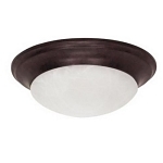 SATCO 60-280 1 LIGHT 12-IN. FLUSH MOUNT TWIST