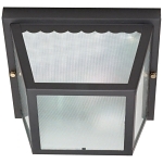 SATCO 60-473 2 LIGHT 10-IN. CARPORT FLUSH MOU