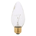 SATCO S3363 25 WATT F15-INCANDESCENT CLEAR 1