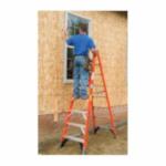 WERNER 7403 3-FT FG STEP LDR IAA